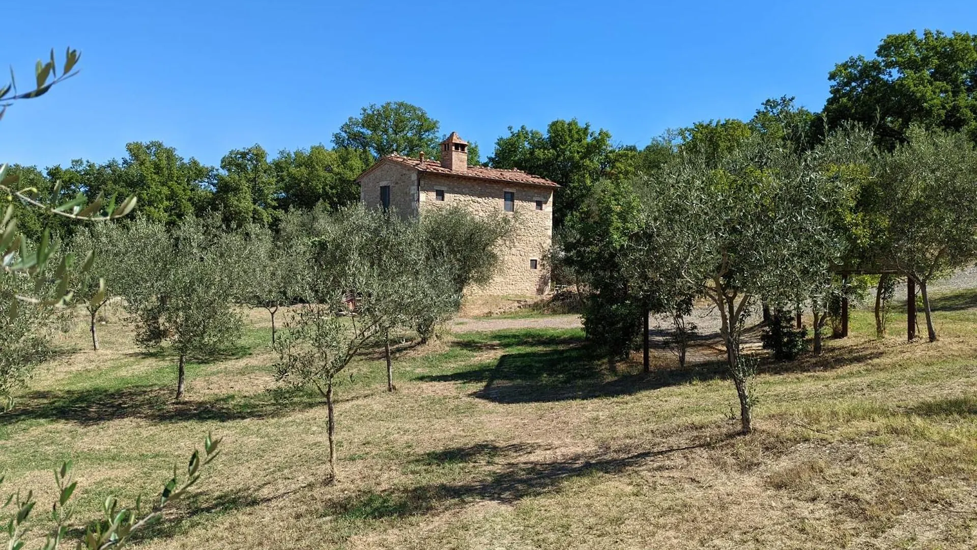 Farm stay Podere Spedalone Villa Castelmuzio Italy